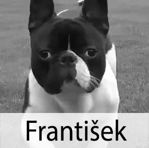 František