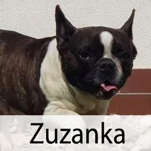 Zuzanka